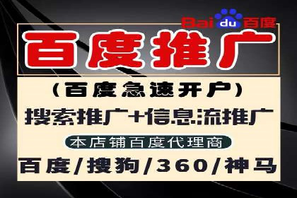 百度竞价包年服务：某行业领导品牌的成功故事